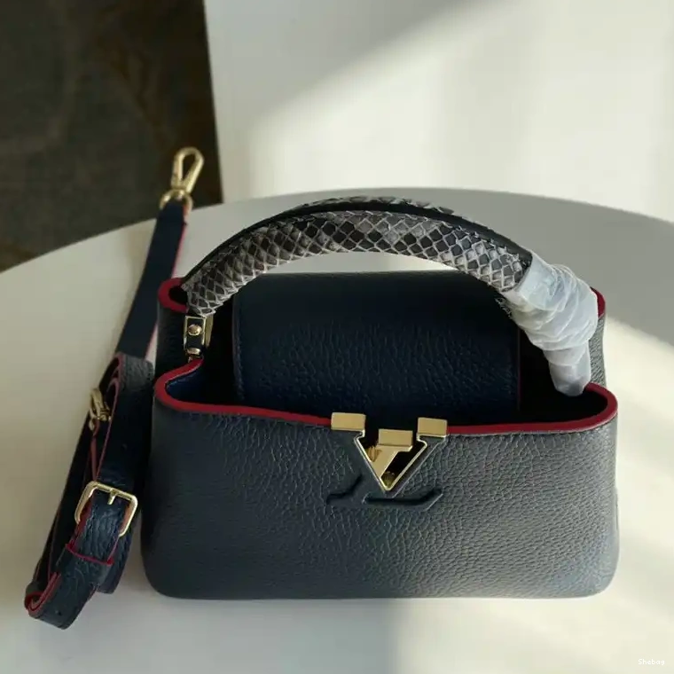 2110YA0096 LV Bags 0730